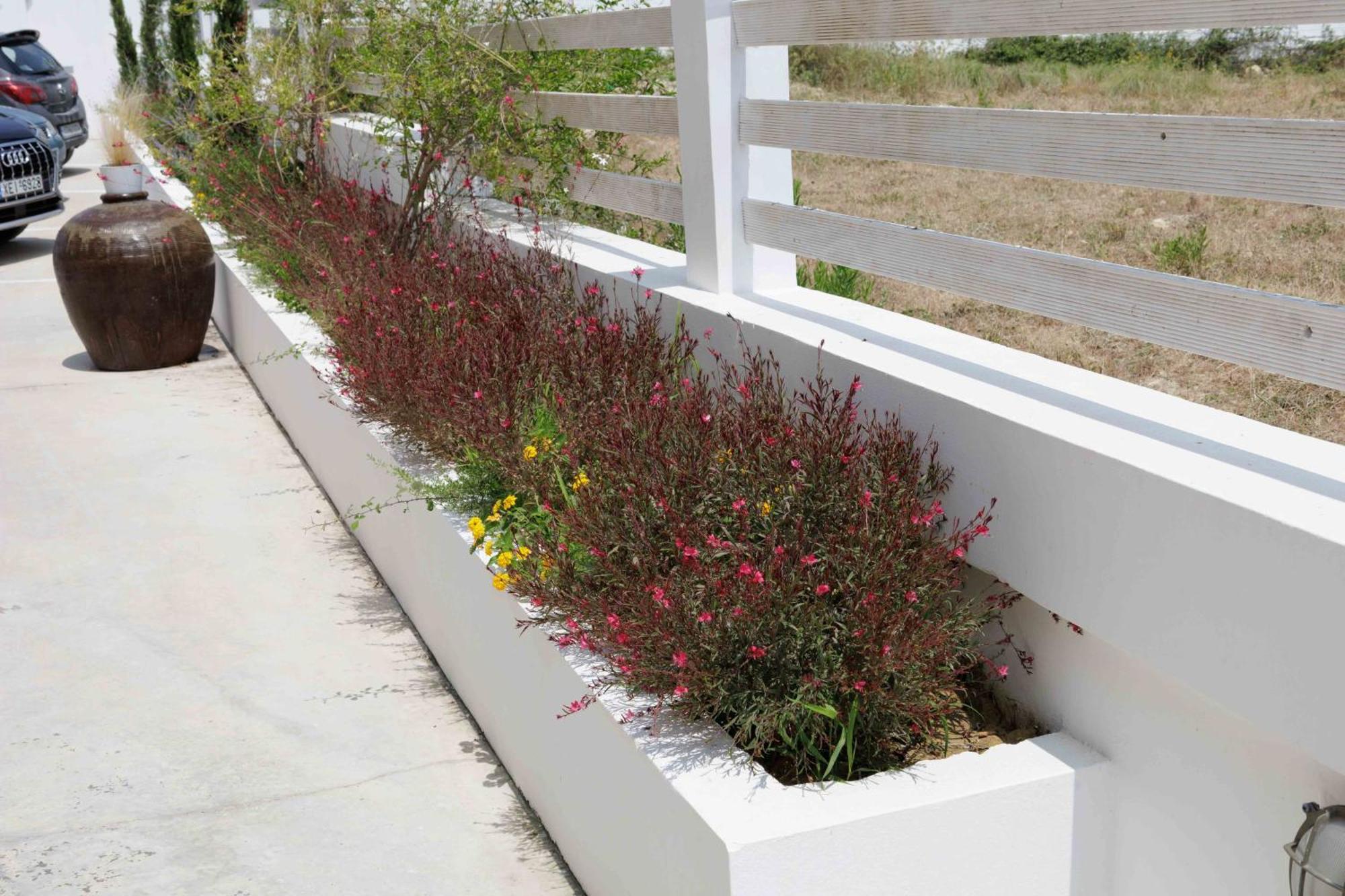 Minia Maggana Residence מראה חיצוני תמונה
